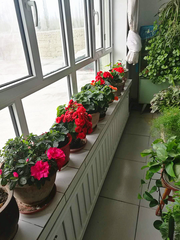 州交通运输局党组书记、副局长张梦帆、温泉县