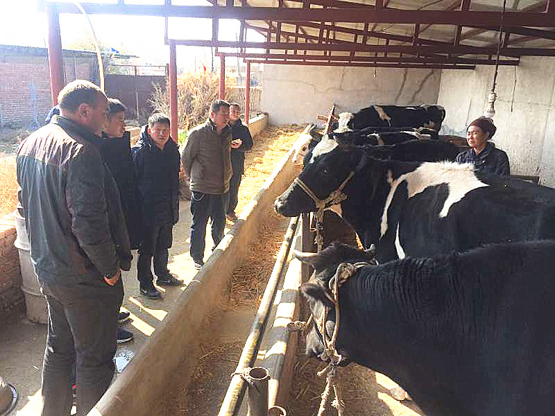 做村民的贴心人--博州交通运输局驻托里村工作