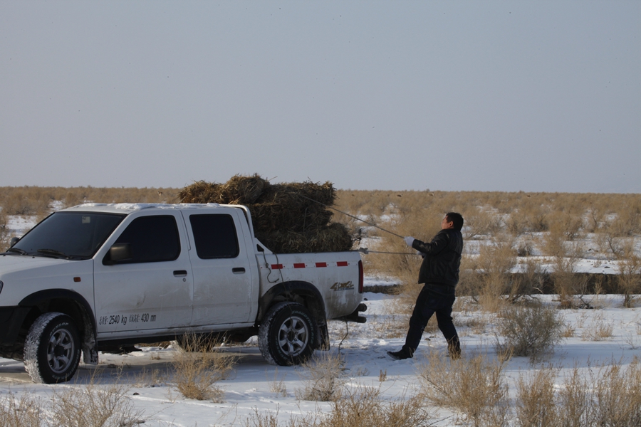 新疆艾比湖湿地国家级自然保护区生态移民后大